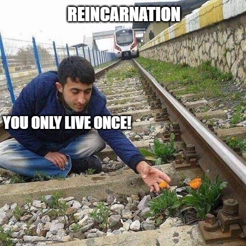 Once, as an eternal undying spiritual being | REINCARNATION; YOU ONLY LIVE ONCE! | image tagged in reincarnation,religion,spirituality,belief,death | made w/ Imgflip meme maker