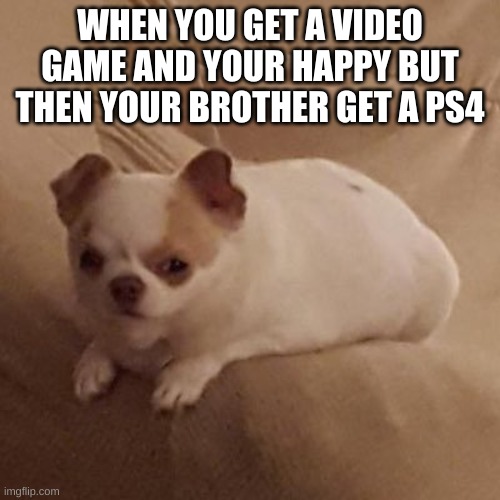 WHEN YOU GET A VIDEO GAME AND YOUR HAPPY BUT THEN YOUR BROTHER GET A PS4 | image tagged in doggo | made w/ Imgflip meme maker