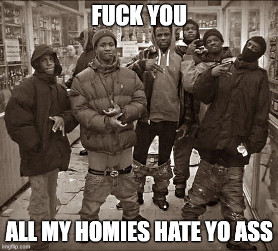 All My Homies Hate | FUCK YOU ALL MY HOMIES HATE YO ASS | image tagged in all my homies hate | made w/ Imgflip meme maker