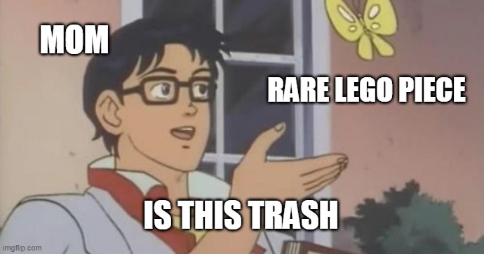Is This a Pigeon | MOM; RARE LEGO PIECE; IS THIS TRASH | image tagged in is this a pigeon | made w/ Imgflip meme maker