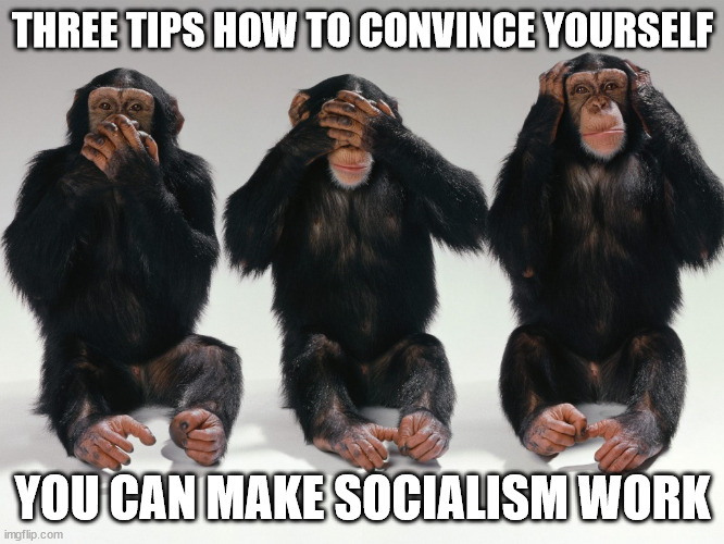 It's worked for 150 years | THREE TIPS HOW TO CONVINCE YOURSELF; YOU CAN MAKE SOCIALISM WORK | image tagged in three monkeys,socialism,politics | made w/ Imgflip meme maker