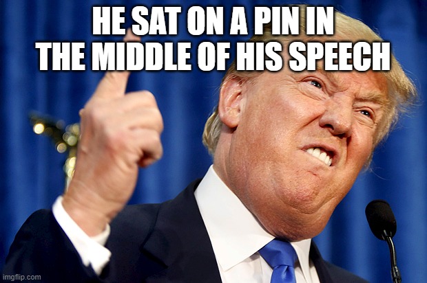 Donald Trump | HE SAT ON A PIN IN THE MIDDLE OF HIS SPEECH | image tagged in donald trump | made w/ Imgflip meme maker