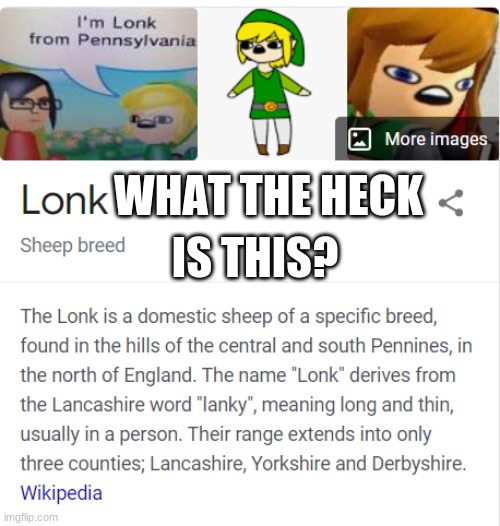 Lonk | IS THIS? WHAT THE HECK | image tagged in lonk | made w/ Imgflip meme maker