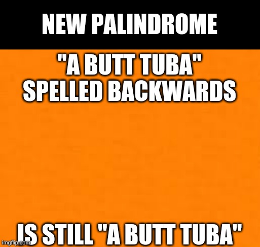 palindrome | NEW PALINDROME; "A BUTT TUBA" SPELLED BACKWARDS; IS STILL "A BUTT TUBA" | image tagged in orange | made w/ Imgflip meme maker