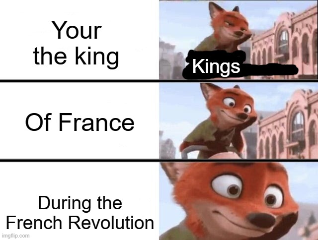 Now you get treated LIKE the king | Your the king; Kings; Of France; During the French Revolution | image tagged in france,king | made w/ Imgflip meme maker
