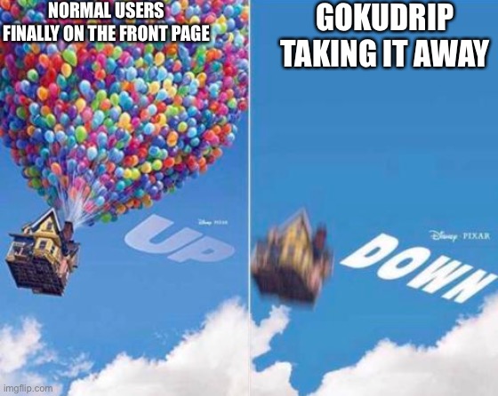 Up and Down | NORMAL USERS FINALLY ON THE FRONT PAGE; GOKUDRIP TAKING IT AWAY | image tagged in up and down | made w/ Imgflip meme maker