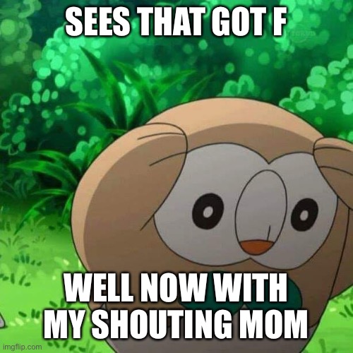 Pokemon | SEES THAT GOT F; WELL NOW WITH MY SHOUTING MOM | image tagged in distressed rowlet | made w/ Imgflip meme maker