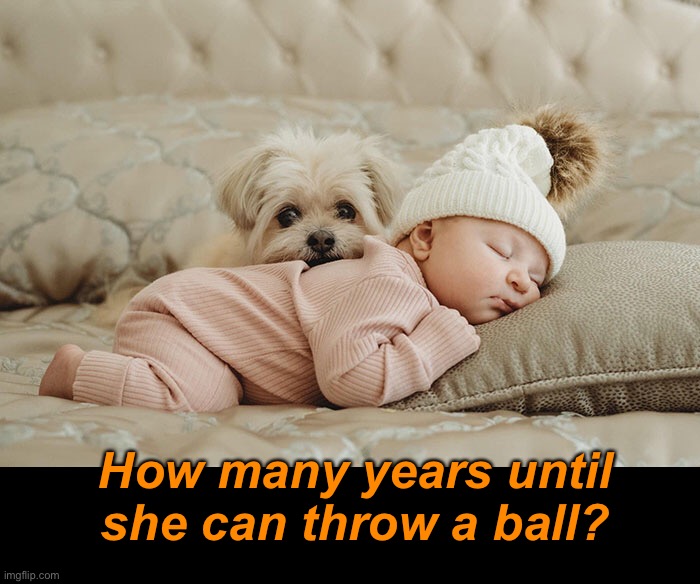 Waiting for a Friend to Grow | How many years until she can throw a ball? | image tagged in funny memes,funny dog memes,babies | made w/ Imgflip meme maker
