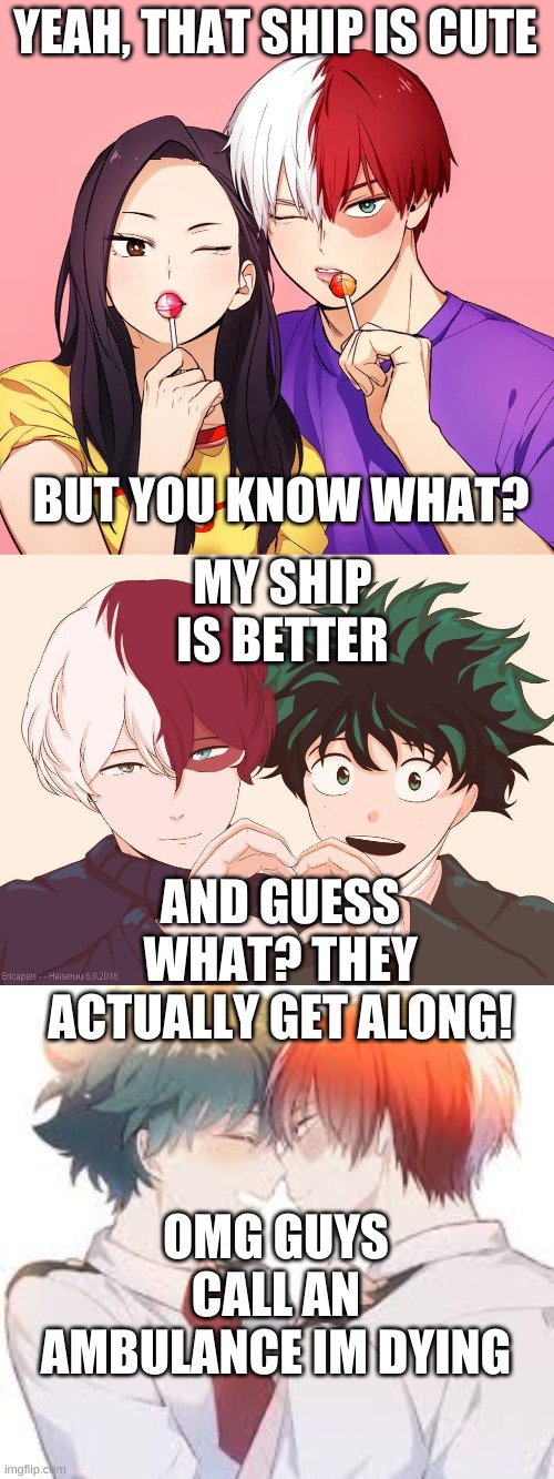 MMM YES | YEAH, THAT SHIP IS CUTE; BUT YOU KNOW WHAT? MY SHIP IS BETTER; AND GUESS WHAT? THEY ACTUALLY GET ALONG! OMG GUYS CALL AN AMBULANCE IM DYING | image tagged in bnha,mha,anime,ships,tododeku | made w/ Imgflip meme maker