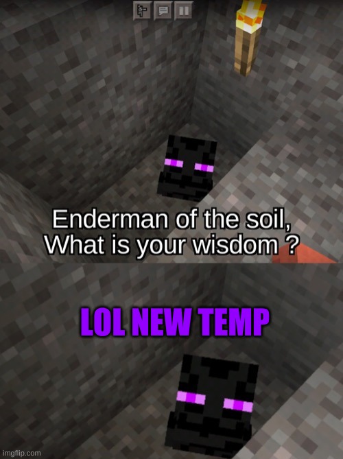 A | LOL NEW TEMP | image tagged in e | made w/ Imgflip meme maker