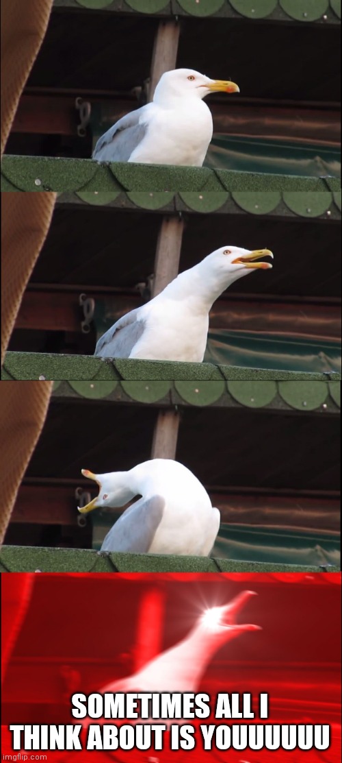 Fifa 21?? | SOMETIMES ALL I THINK ABOUT IS YOUUUUUU | image tagged in memes,inhaling seagull | made w/ Imgflip meme maker