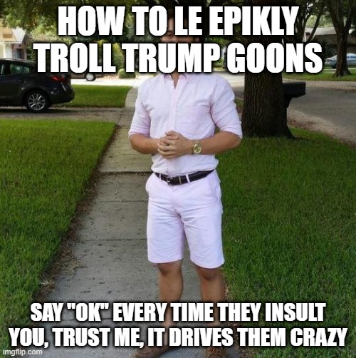 You Know I Had to do it to em | HOW TO LE EPIKLY TROLL TRUMP GOONS; SAY "OK" EVERY TIME THEY INSULT YOU, TRUST ME, IT DRIVES THEM CRAZY | image tagged in you know i had to do it to em | made w/ Imgflip meme maker