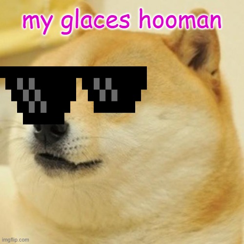 my glaces hooman | image tagged in memes,doge | made w/ Imgflip meme maker