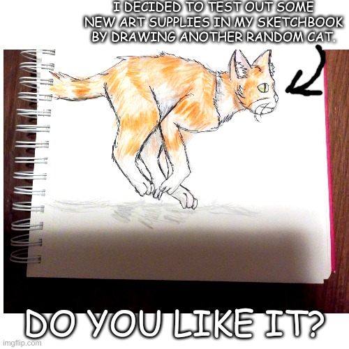 Another Cat Drawing | I DECIDED TO TEST OUT SOME NEW ART SUPPLIES IN MY SKETCHBOOK BY DRAWING ANOTHER RANDOM CAT. DO YOU LIKE IT? | image tagged in cats,drawing,test,oh wow are you actually reading these tags,drawings | made w/ Imgflip meme maker