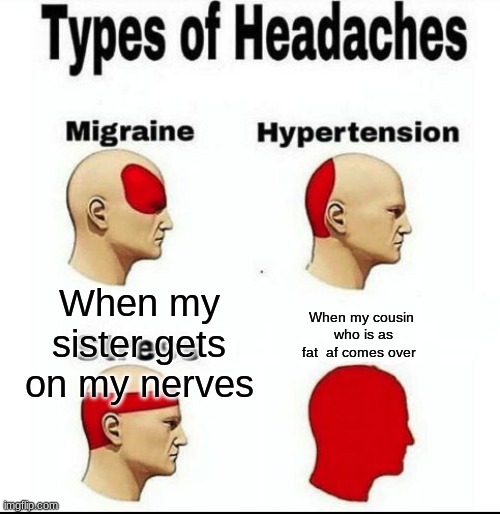 Types of Headaches meme | When my sister gets on my nerves; When my cousin  who is as fat  af comes over | image tagged in types of headaches meme | made w/ Imgflip meme maker