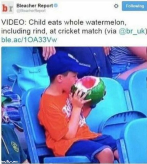 I mean cricket matches r rly long so y not | made w/ Imgflip meme maker