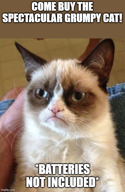 grumpy cat | COME BUY THE SPECTACULAR GRUMPY CAT! *BATTERIES NOT INCLUDED* | image tagged in memes,grumpy cat | made w/ Imgflip meme maker