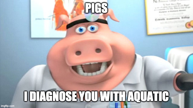 I Diagnose You With Dead | PIGS I DIAGNOSE YOU WITH AQUATIC | image tagged in i diagnose you with dead | made w/ Imgflip meme maker