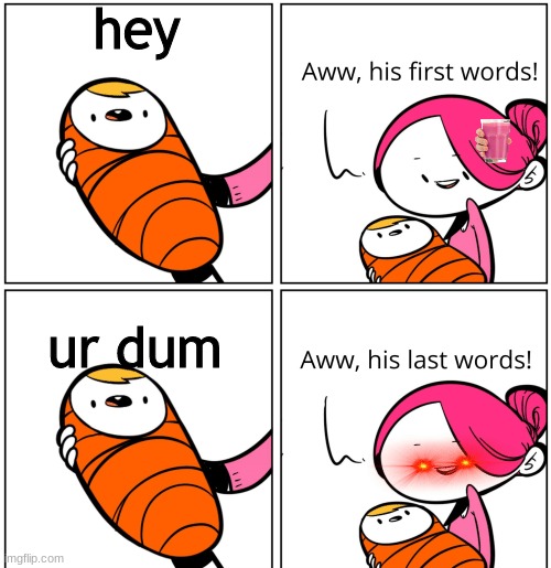 Aww, His Last Words | hey; ur dum | image tagged in aww his last words | made w/ Imgflip meme maker