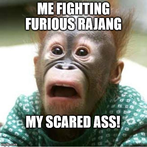 Scared Monkey | ME FIGHTING FURIOUS RAJANG; MY SCARED ASS! | image tagged in scared monkey | made w/ Imgflip meme maker