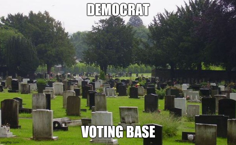 Graveyard | DEMOCRAT VOTING BASE | image tagged in graveyard | made w/ Imgflip meme maker