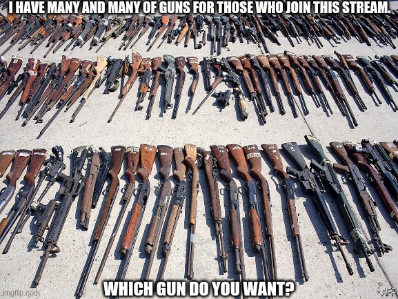 I HAVE MANY AND MANY OF GUNS FOR THOSE WHO JOIN THIS STREAM. WHICH GUN DO YOU WANT? | made w/ Imgflip meme maker