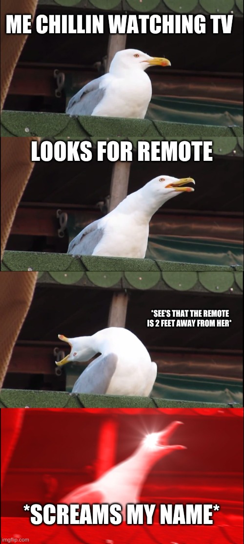 mother | ME CHILLIN WATCHING TV; LOOKS FOR REMOTE; *SEE'S THAT THE REMOTE IS 2 FEET AWAY FROM HER*; *SCREAMS MY NAME* | image tagged in memes,inhaling seagull,mom,relatable | made w/ Imgflip meme maker