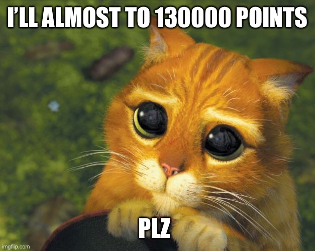 cat plz | I’LL ALMOST TO 130000 POINTS; PLZ | image tagged in cat plz | made w/ Imgflip meme maker