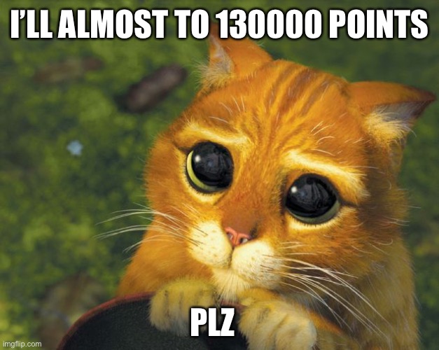 cat plz | I’LL ALMOST TO 130000 POINTS; PLZ | image tagged in cat plz | made w/ Imgflip meme maker