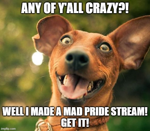 One of my alters dared me to make a mad pride stream! xD | ANY OF Y'ALL CRAZY?! WELL I MADE A MAD PRIDE STREAM!
GET IT! | image tagged in mad,mad pride,crazy,new stream | made w/ Imgflip meme maker