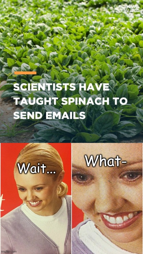 Scientists did what now? | What-; Wait... | image tagged in wait what | made w/ Imgflip meme maker