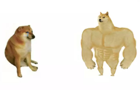 Buff Doge vs cheems reverse Blank Meme Template
