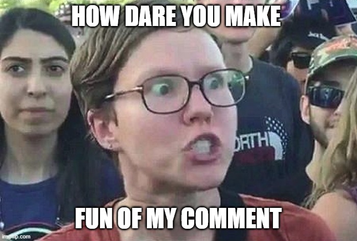 Triggered Liberal | HOW DARE YOU MAKE FUN OF MY COMMENT | image tagged in triggered liberal | made w/ Imgflip meme maker