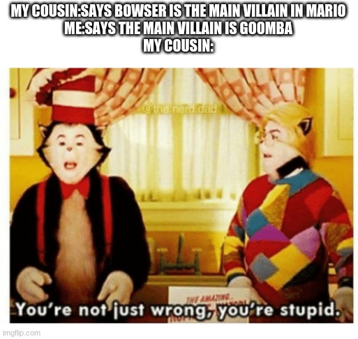 true events | MY COUSIN:SAYS BOWSER IS THE MAIN VILLAIN IN MARIO
ME:SAYS THE MAIN VILLAIN IS GOOMBA
MY COUSIN: | image tagged in you're not just wrong your stupid | made w/ Imgflip meme maker