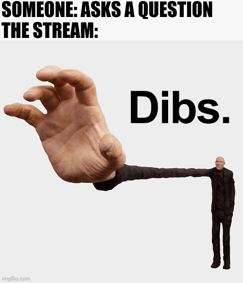 Dibs | SOMEONE: ASKS A QUESTION
THE STREAM: | image tagged in dibs | made w/ Imgflip meme maker