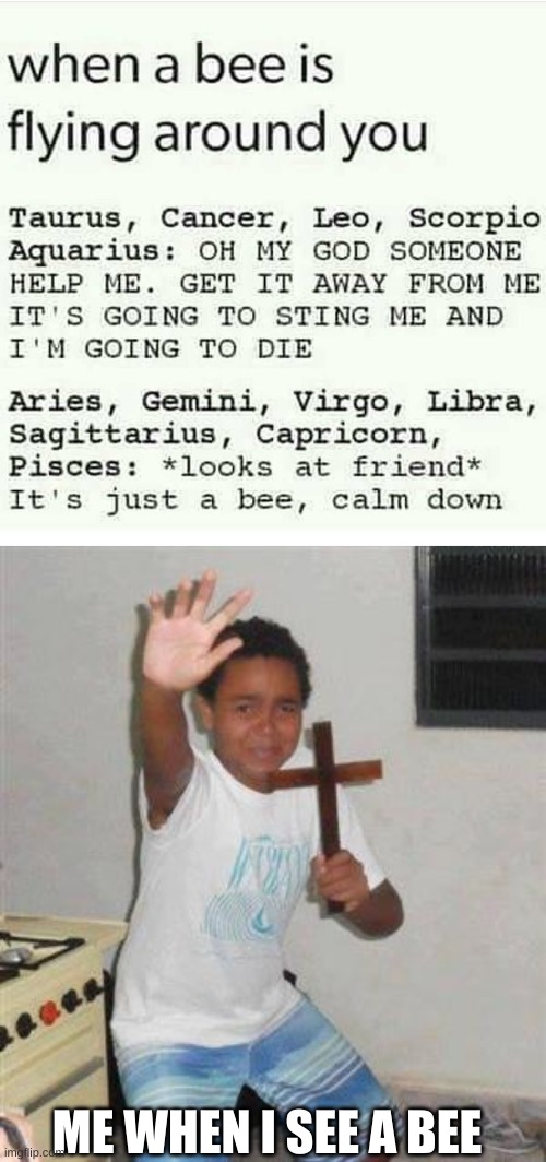 That is soo me | ME WHEN I SEE A BEE | image tagged in scared kid,bees,zodiac,signs | made w/ Imgflip meme maker