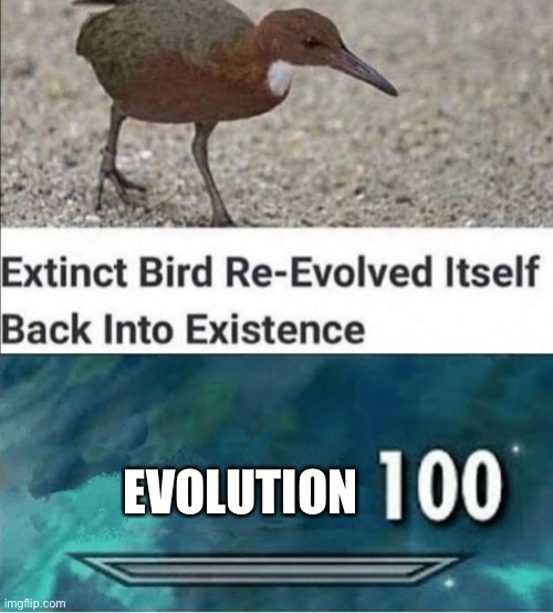 EVOLUTION | image tagged in skyrim 100 blank | made w/ Imgflip meme maker