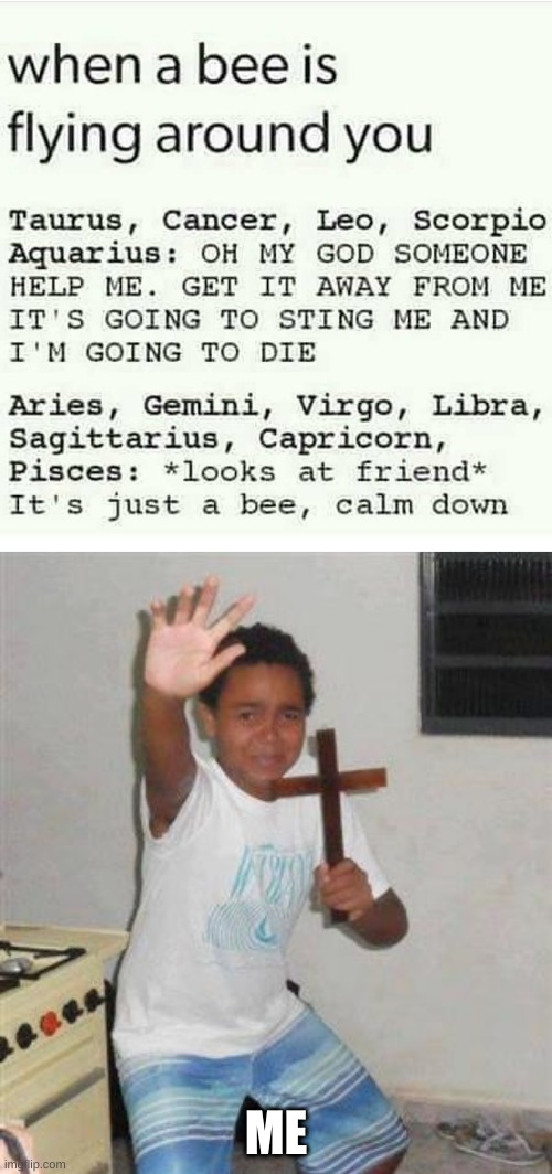 So tru tho-speaking from a Scorpio | ME | image tagged in scared kid,zodiac,bees | made w/ Imgflip meme maker