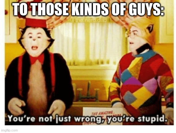 You're not just wrong your stupid | TO THOSE KINDS OF GUYS: | image tagged in you're not just wrong your stupid | made w/ Imgflip meme maker