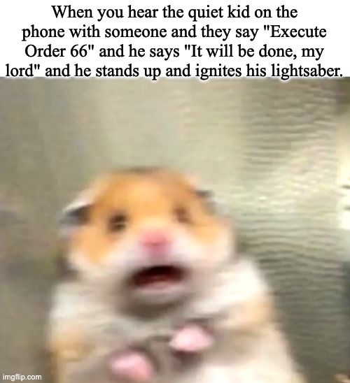 Execute Order 66 |  When you hear the quiet kid on the phone with someone and they say "Execute Order 66" and he says "It will be done, my lord" and he stands up and ignites his lightsaber. | image tagged in scared hamster,quiet kid,star wars,order 66 | made w/ Imgflip meme maker