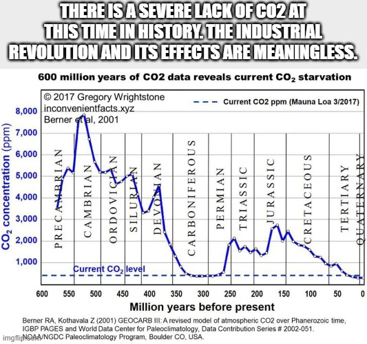 THERE IS A SEVERE LACK OF CO2 AT THIS TIME IN HISTORY. THE INDUSTRIAL REVOLUTION AND ITS EFFECTS ARE MEANINGLESS. | made w/ Imgflip meme maker