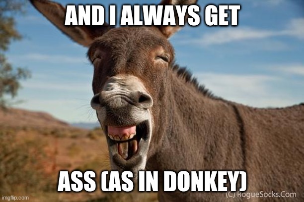 Donkey Jackass Braying | AND I ALWAYS GET ASS (AS IN DONKEY) | image tagged in donkey jackass braying | made w/ Imgflip meme maker