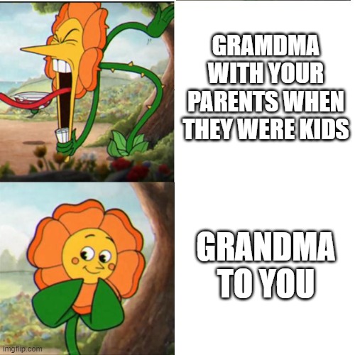 Cuphead Flower |  GRAMDMA WITH YOUR PARENTS WHEN THEY WERE KIDS; GRANDMA TO YOU | image tagged in cuphead flower | made w/ Imgflip meme maker