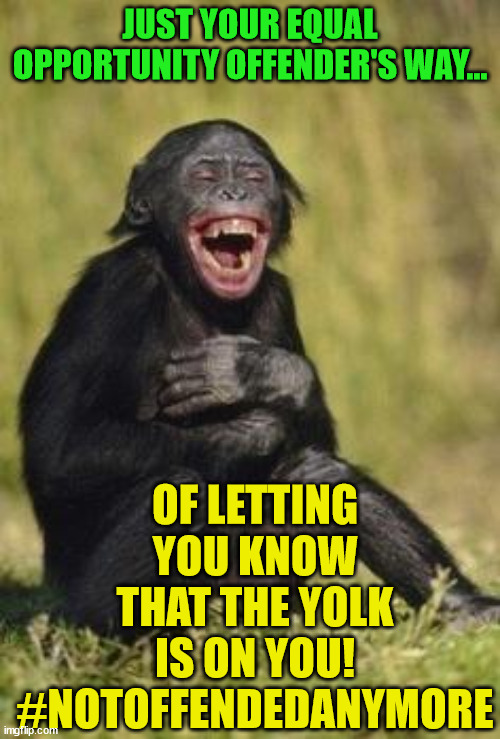 Laughing monkey | JUST YOUR EQUAL OPPORTUNITY OFFENDER'S WAY... OF LETTING YOU KNOW THAT THE YOLK IS ON YOU!
#NOTOFFENDEDANYMORE | image tagged in laughing monkey | made w/ Imgflip meme maker