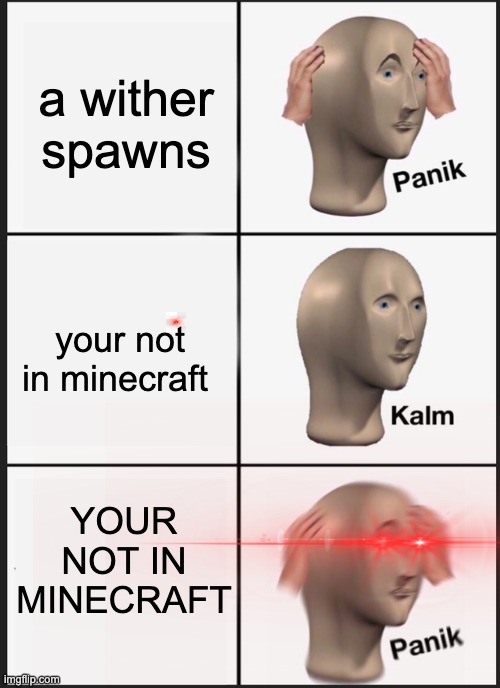 Panik Kalm Panik Meme | a wither spawns; your not in minecraft; YOUR NOT IN MINECRAFT | image tagged in memes,panik kalm panik | made w/ Imgflip meme maker
