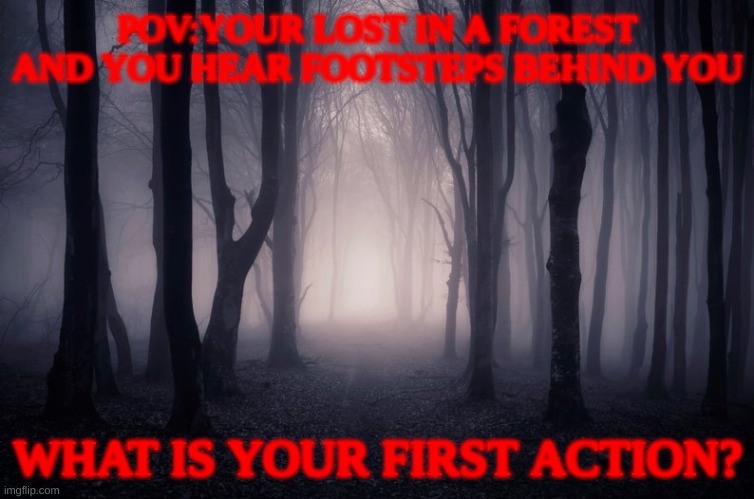 what would you do if you found yourself lost in a dark forest? | POV:YOUR LOST IN A FOREST AND YOU HEAR FOOTSTEPS BEHIND YOU; WHAT IS YOUR FIRST ACTION? | image tagged in pov | made w/ Imgflip meme maker
