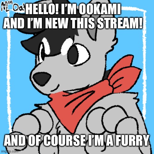 Sup | HELLO! I’M OOKAMI AND I’M NEW THIS STREAM! AND OF COURSE I’M A FURRY | image tagged in furry | made w/ Imgflip meme maker