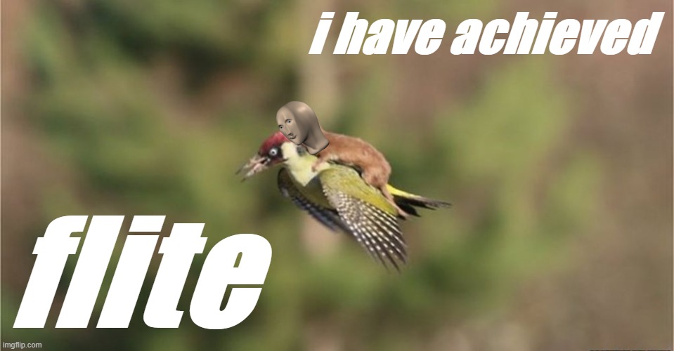 I have achieved flite | i have achieved; flite | image tagged in weasel riding on woodpecker's back,bird,flight,weasel,meme man,wut | made w/ Imgflip meme maker