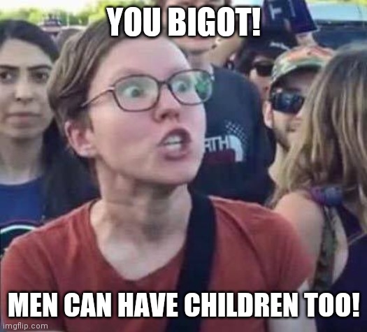 Angry Liberal | YOU BIGOT! MEN CAN HAVE CHILDREN TOO! | image tagged in angry liberal | made w/ Imgflip meme maker
