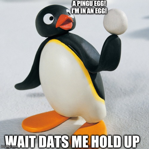 pingu finds an egg | A PINGU EGG!
I'M IN AN EGG! WAIT DATS ME HOLD UP | image tagged in pingu finds an egg | made w/ Imgflip meme maker